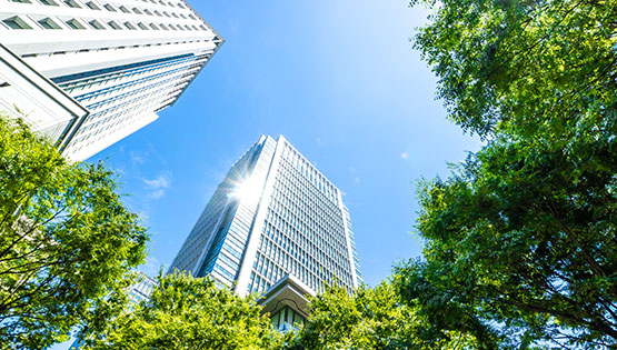 企業向け安全運転講習